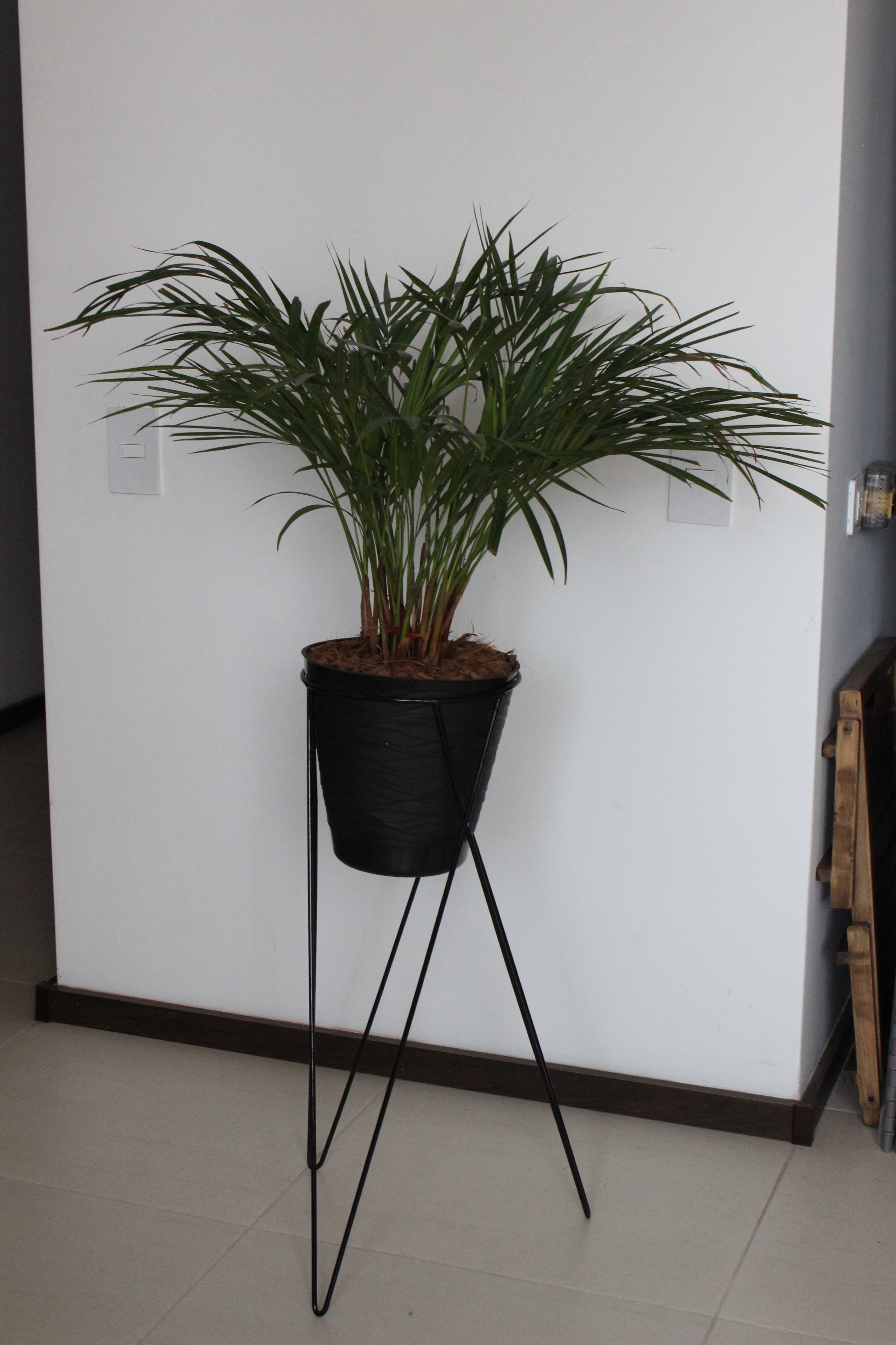 imagen de producto Trio de plantas con bases metalicas