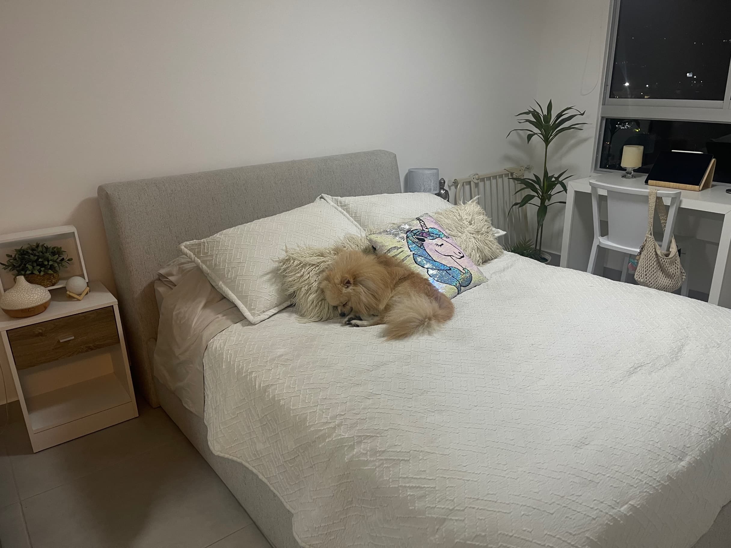 imagen de producto Cama con colchón semi firme Spring