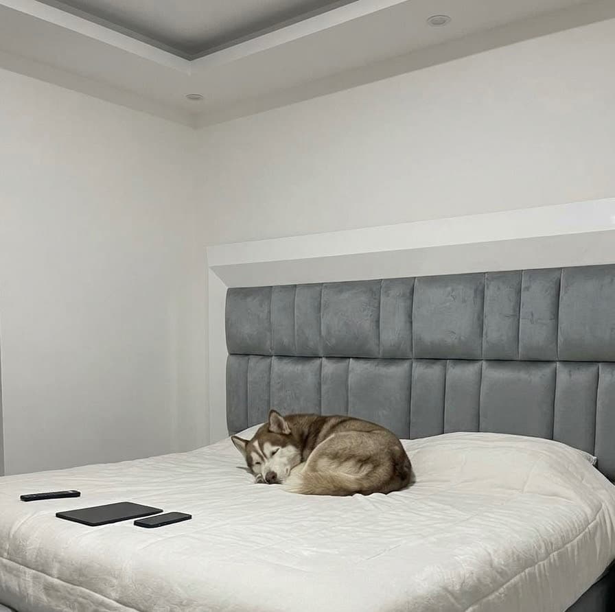 imagen de producto Cama con colchón