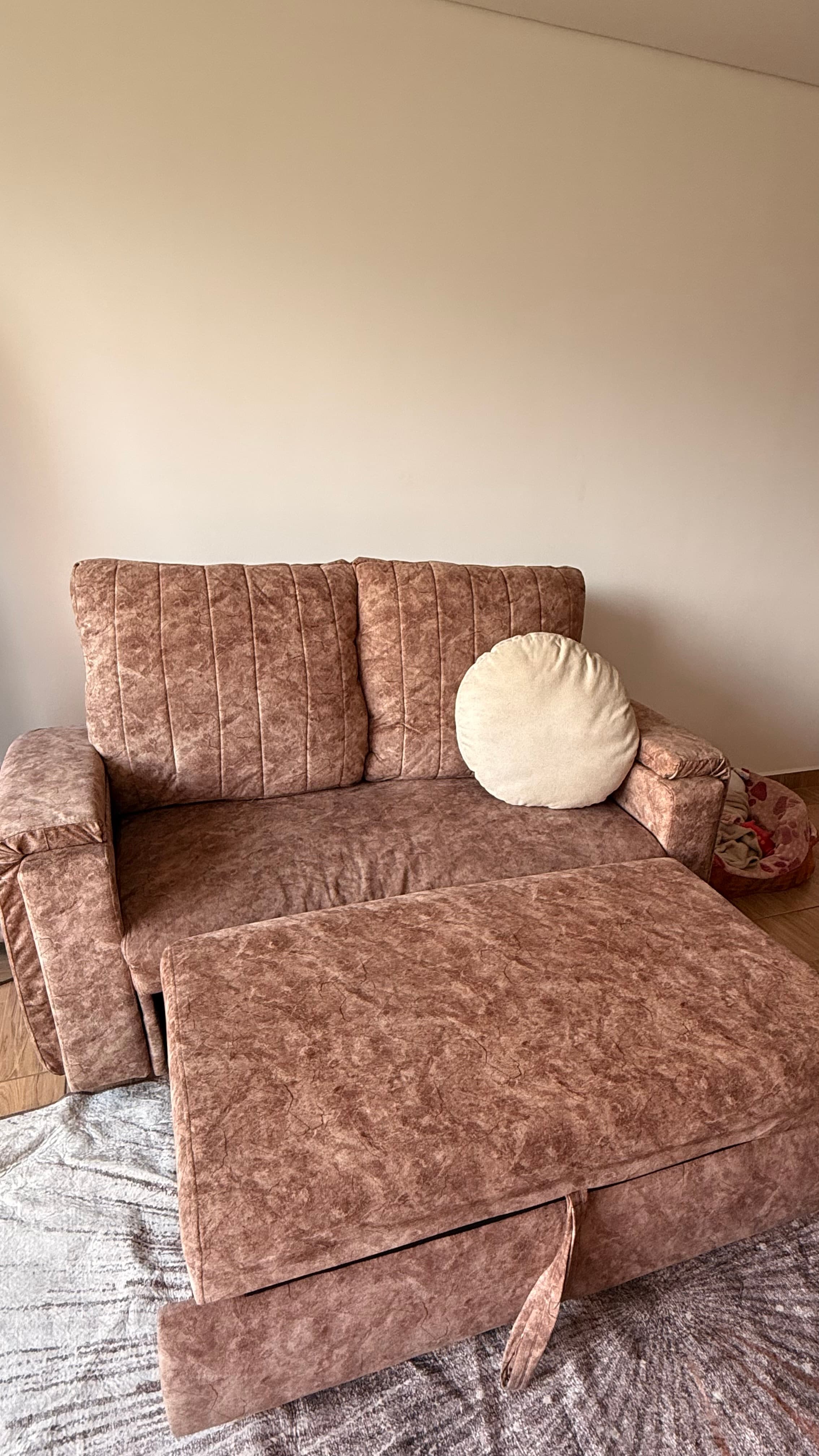 imagen de producto Sofá Cama