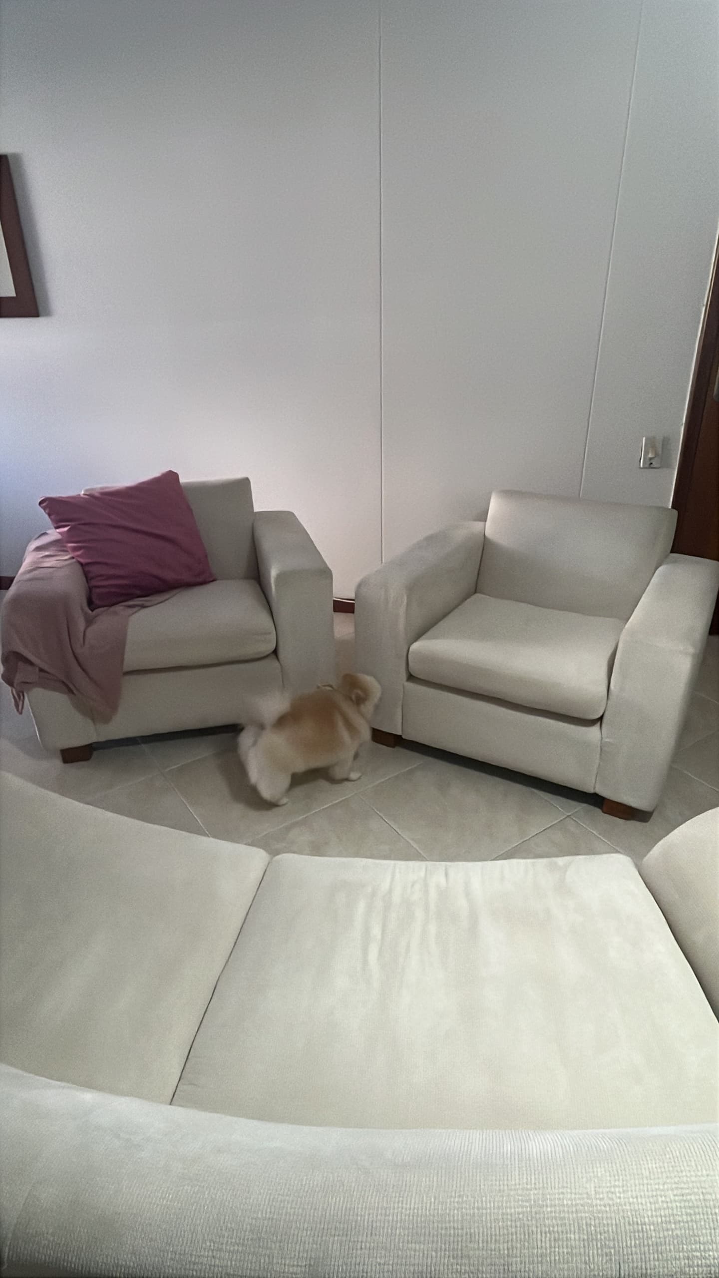 imagen de producto Comedor + poltronas