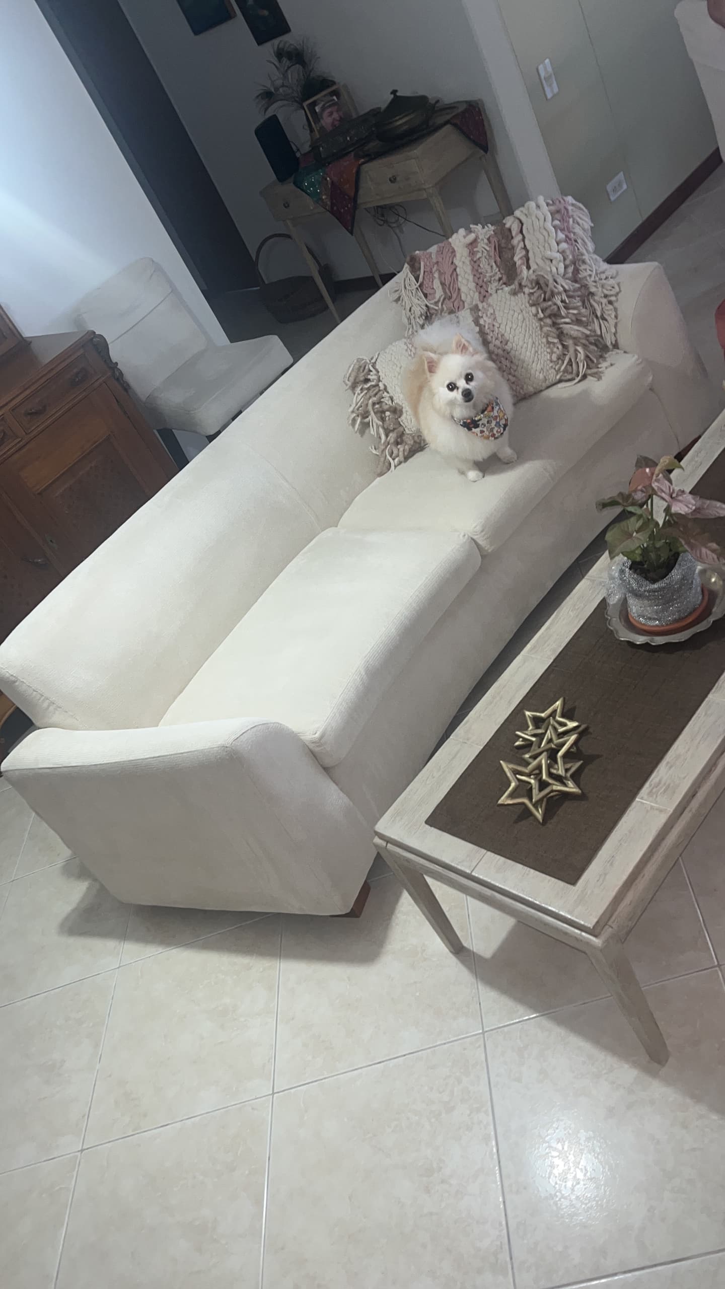 imagen de producto Comedor + poltronas