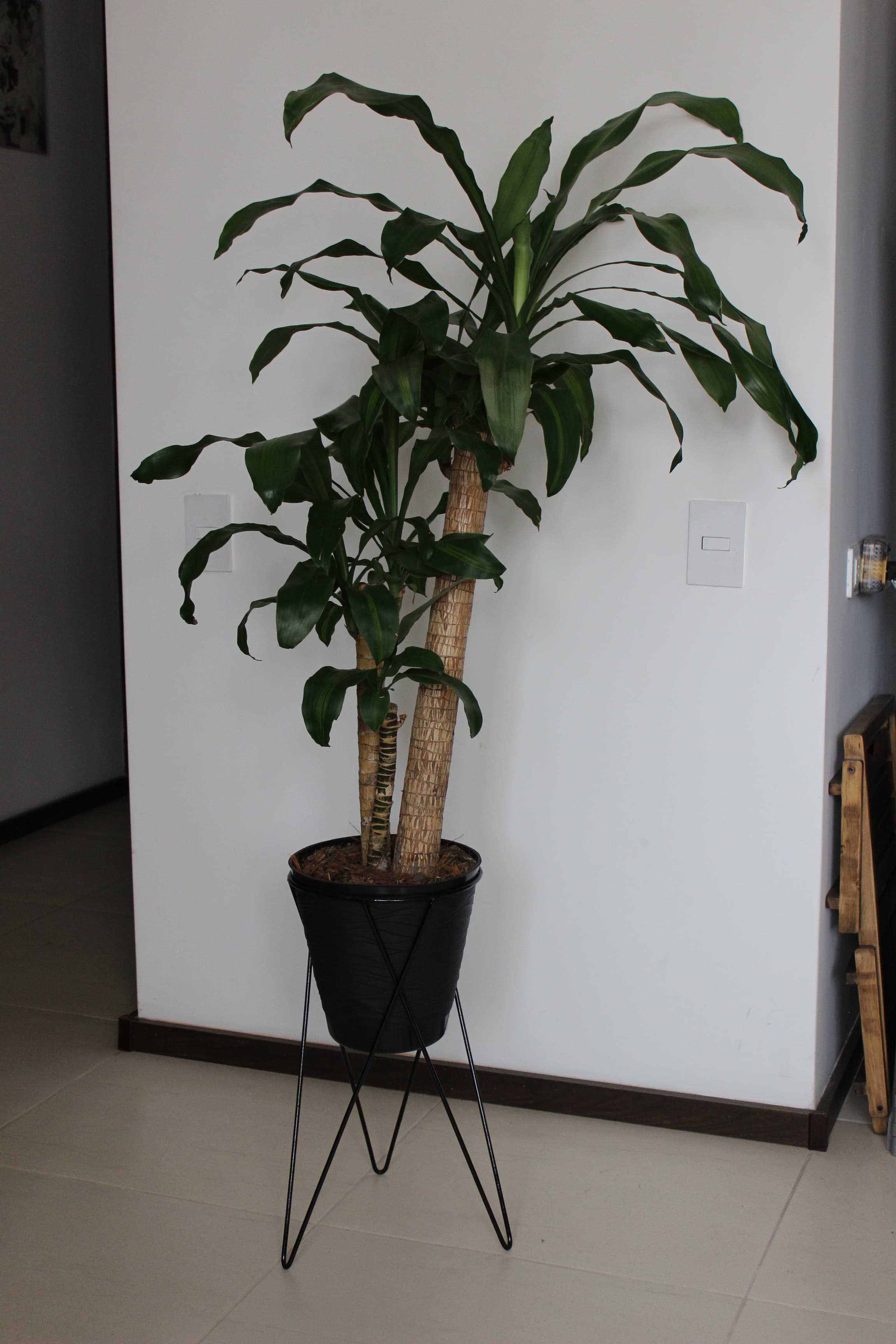imagen de producto Trio de plantas con bases metalicas