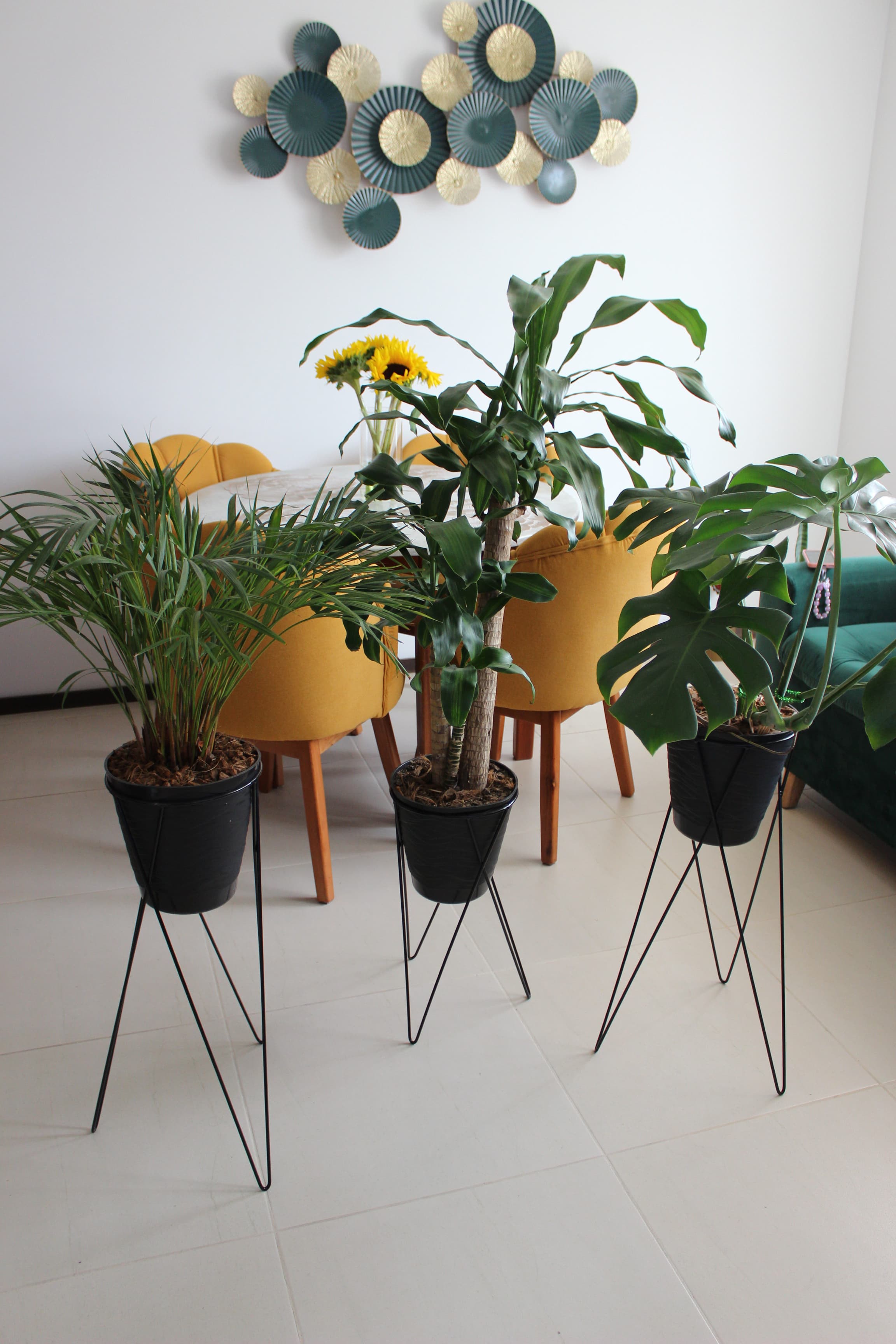 imagen de producto Trio de plantas con bases metalicas