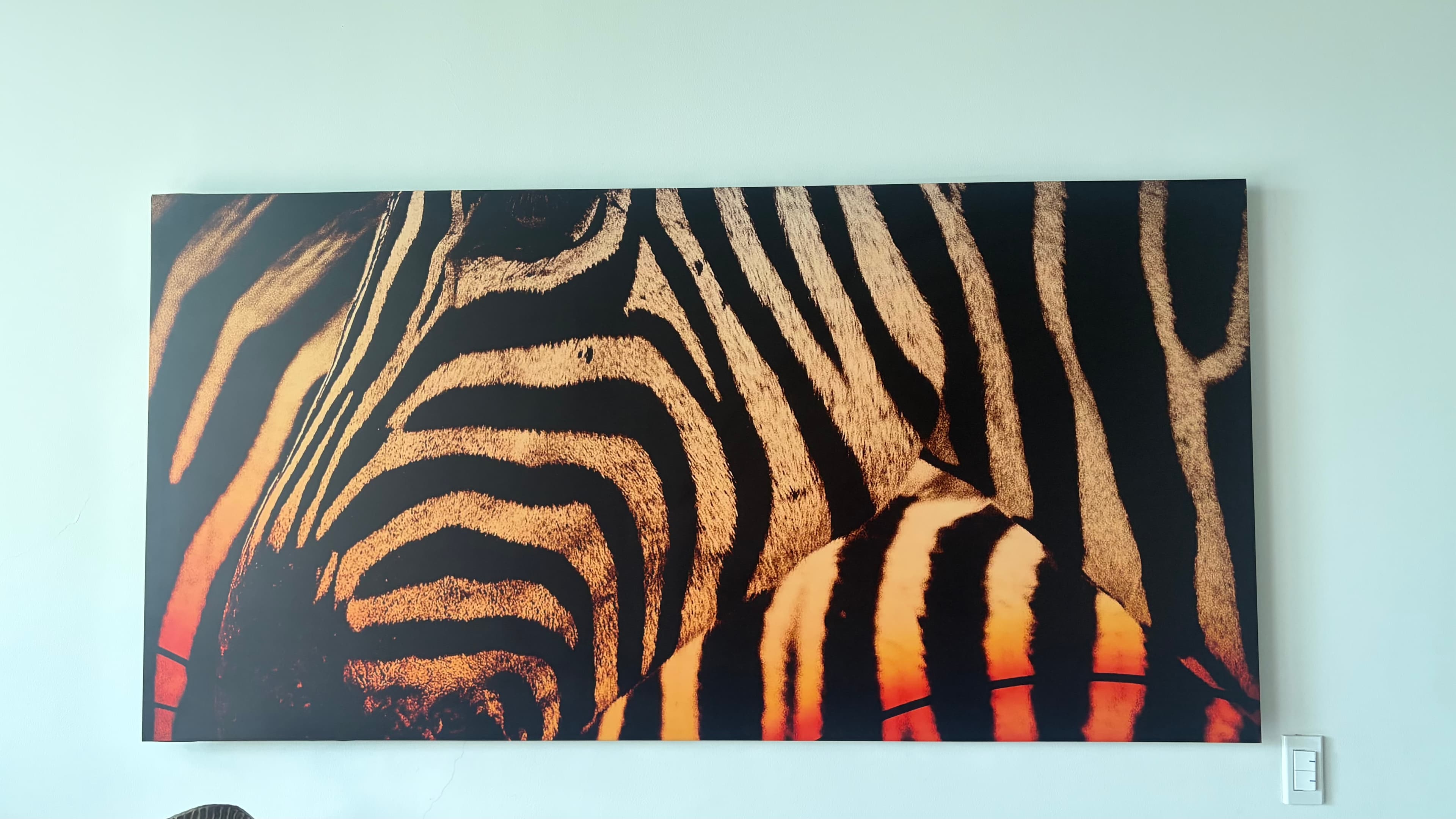 imagen de producto Cuadro de zebra