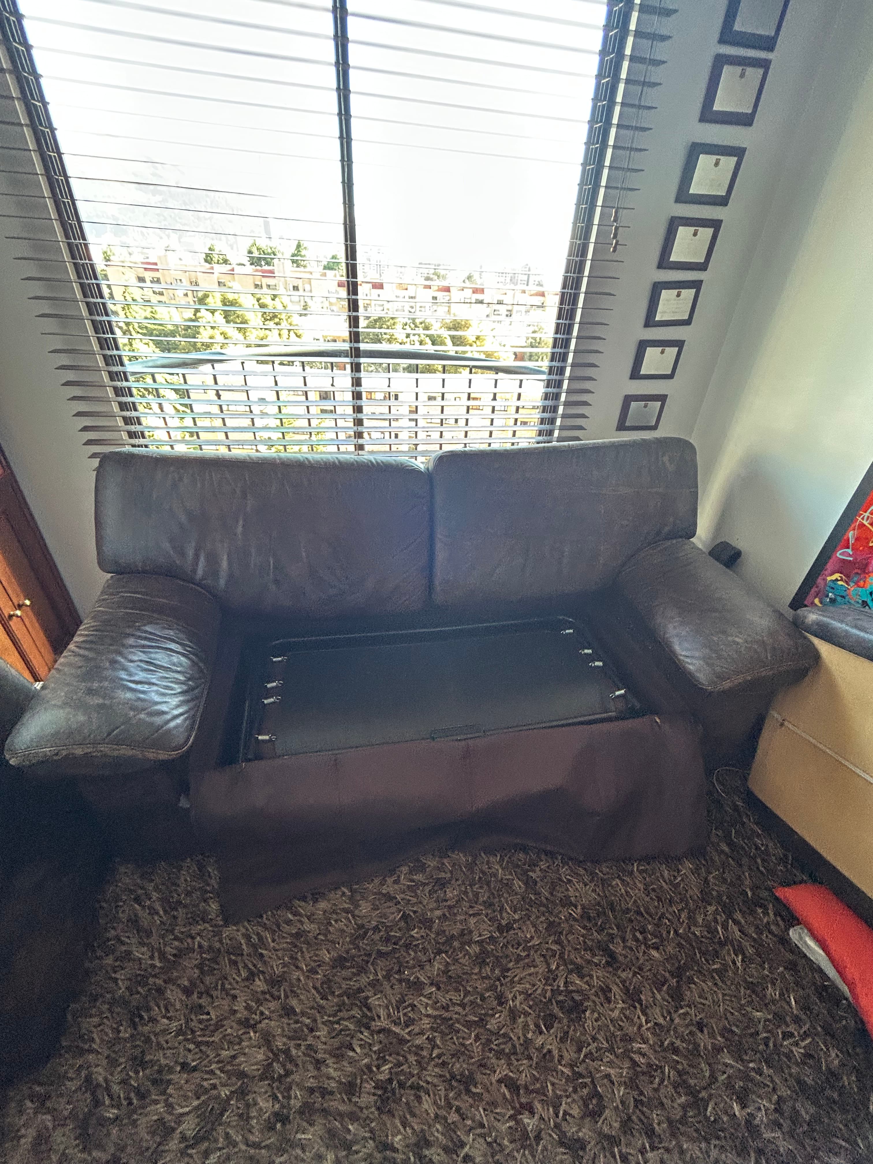 imagen de producto SOFA CAMA CUERO