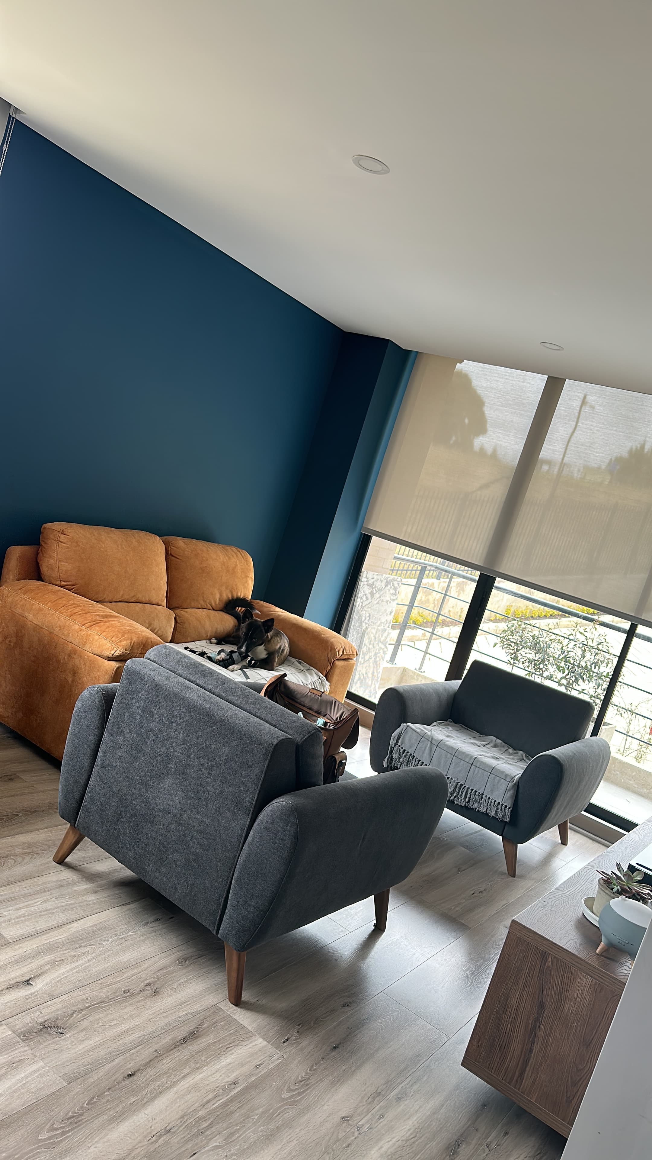 imagen de producto Poltrona gris oscura